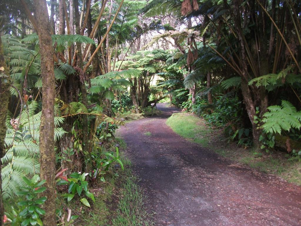 Aloha Crater Lodge Volcano Extérieur photo